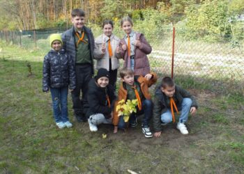 Gmina Kuryłówka także w tym roku sadzi rośliny miododajne