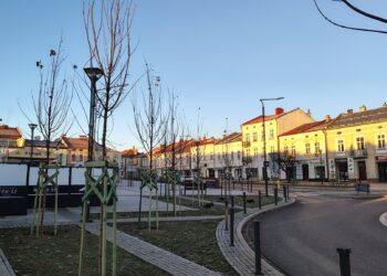 Leżajsk modernizuje infrastrukturę i zieleń. Inwestycje na finiszu