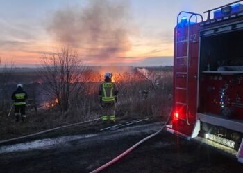Strażacy interweniowali w Przychojcu. Płonęły nieużytki w pobliżu Sanu