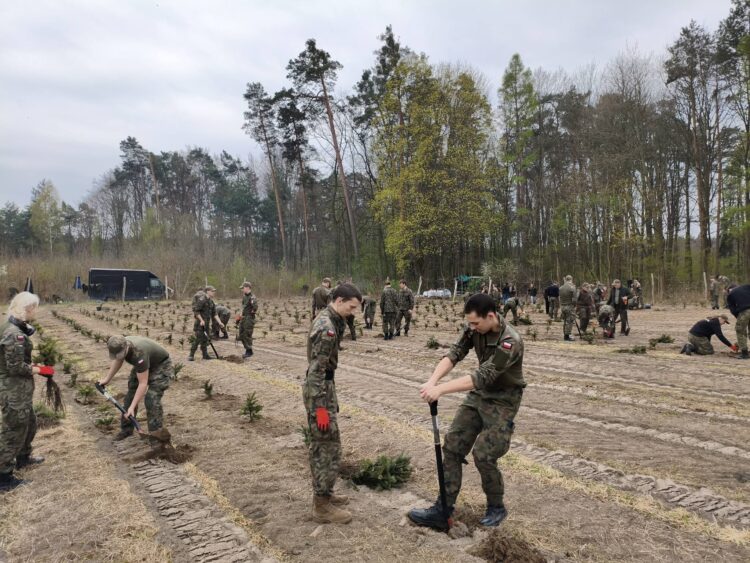 Uczniowie klas wojskowych z Leżajska pomogli w sadzeniu lasu