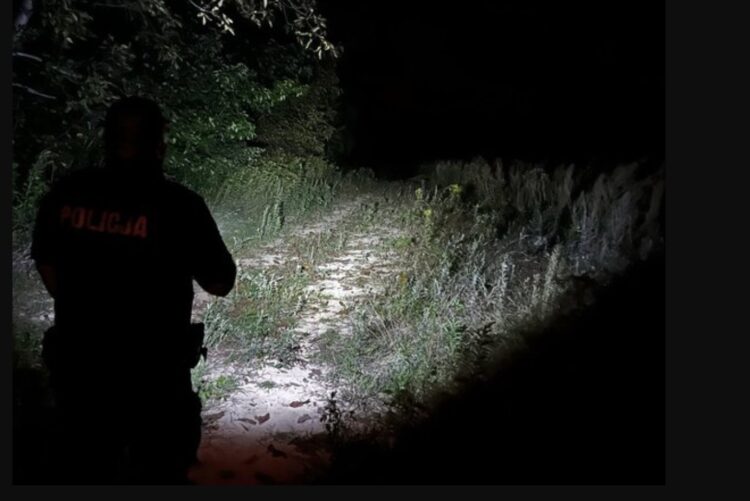 Szczęśliwy finał poszukiwań 78-latka w Leżajsku