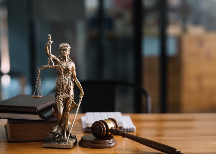 Wyłudzała sprzęt na cudze dane i nie płaciła alimentów. 31-latka z powiatu leżajskiego stanie przed sądem