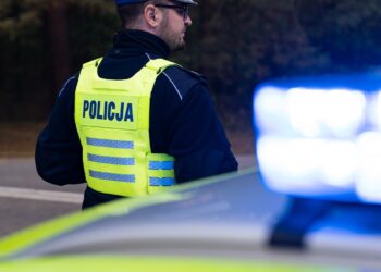 Promile o poranku. Nietrzeźwy kierowca dostawczego iveco zatrzymany w Nowej Sarzynie