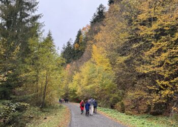 Jesienna wycieczka w Bieszczady z MOSiR Leżajsk