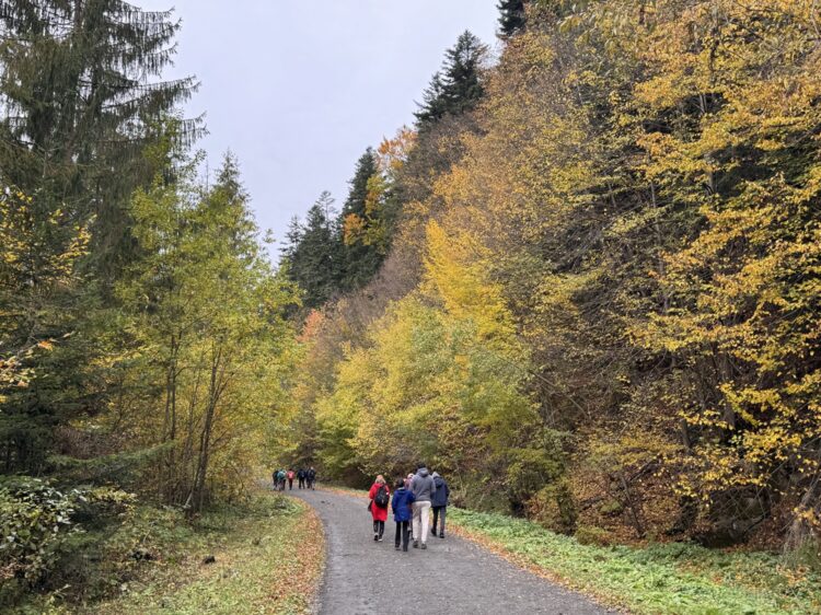 Jesienna wycieczka w Bieszczady z MOSiR Leżajsk