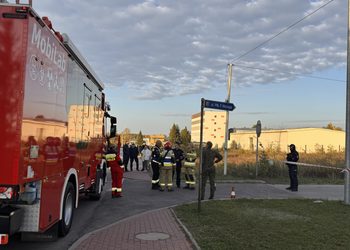 Tajemniczy obiekt w Lubaczowie. W akcji specjalistyczne jednostki strażackie z Leżajska i Nowej Sarzyny